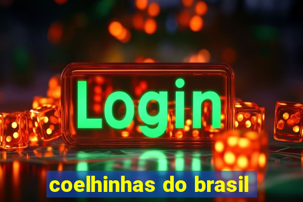 coelhinhas do brasil